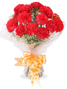 Lady In Red Carnations